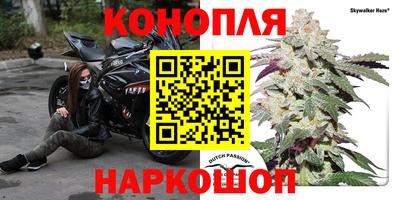 дмт Лесосибирск