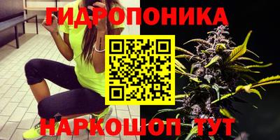 спиды Ливны