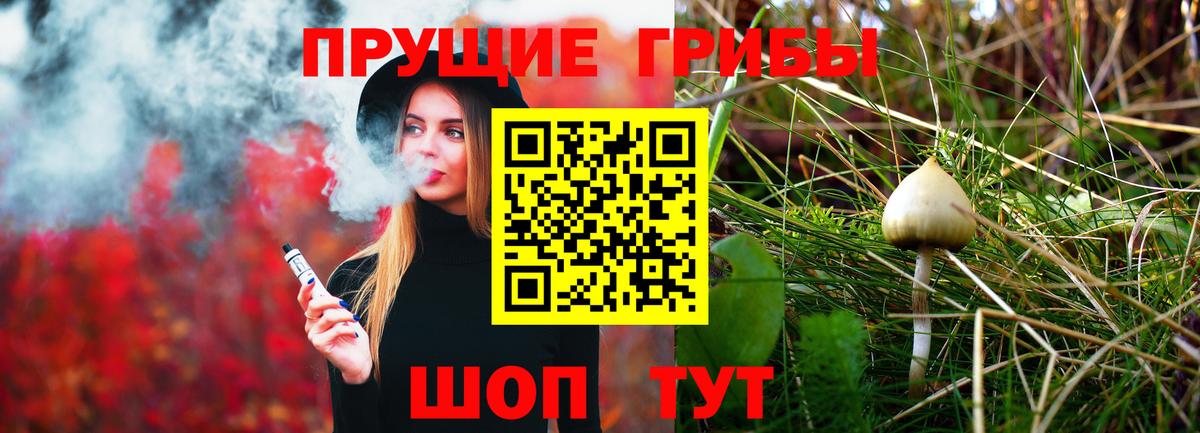 Долгопрудный  Галлюциногенные грибы Magic Shrooms  Вход с VPN 